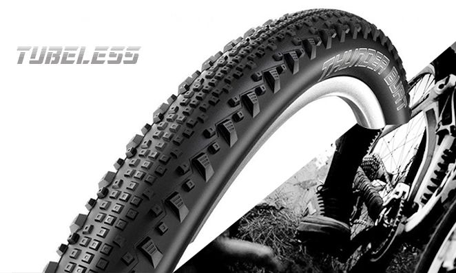 Roda traseira de bicicleta com Tubeless escrito em cinza