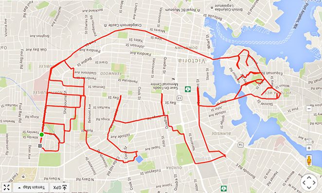 Mapa de percurso em forma de urso