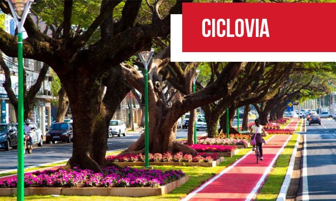 Mulher pedalando na ciclovia de Maringá