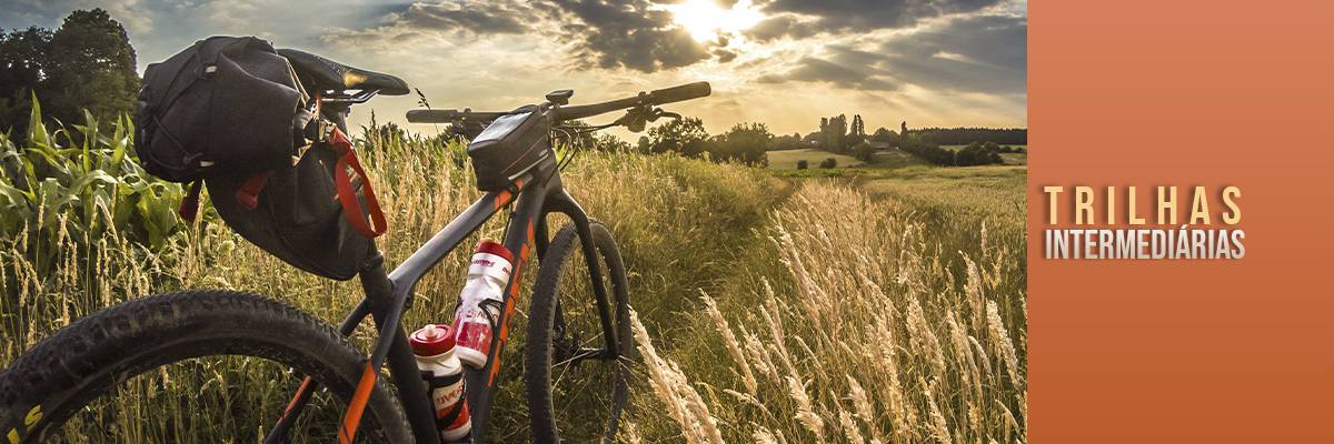 Bicicleta no meio de uma plantação
