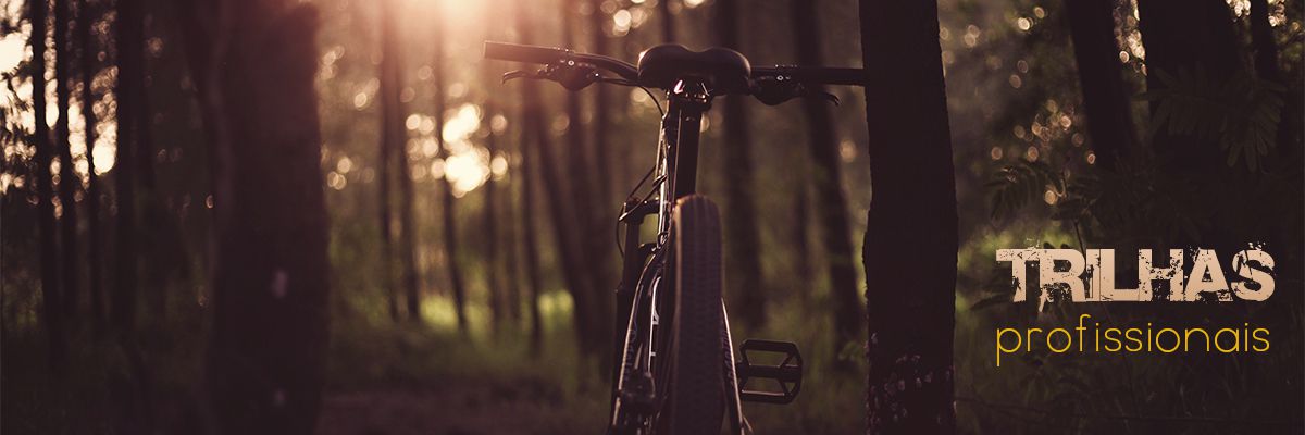 Foto de bicicleta na trilha no meio da floresta
