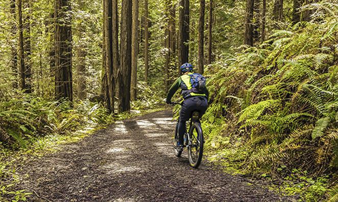 Ciclista em percurso tranquilo