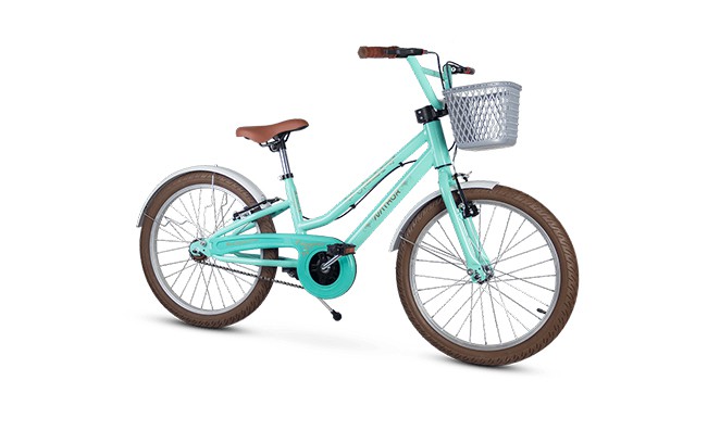 Bicicleta infantil feminina com cestinha