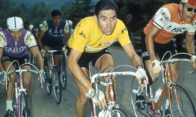 Eddy Merckx