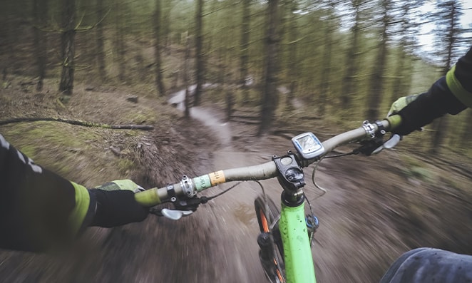 Pessoa andando de bicicleta de cor verde e guidão reto, no meio de floresta